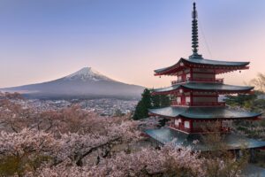 japón con trippeando